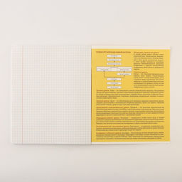 Тетради предметные, 48 л., А5, набор из 3 шт. «Персонажи»