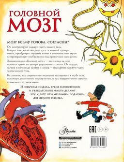 Головной мозг - Аст фото 3