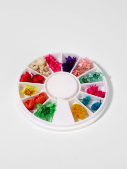 Сухоцветы для декора Ромашки, объёмные, 12 видов, в футляре, разноцветные - Qf фото 2