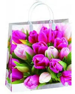 9049 Сумка пластик. BAS 146 (26x23см) маленькая Цветы*20