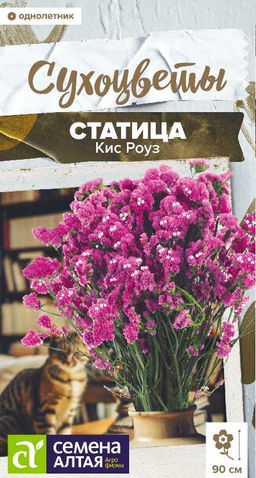 Цветы Статица Кис Роуз/Сем Алт/цп 7 шт. Сухоцветы НОВИНКА (2028 / 3897)