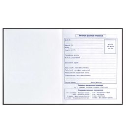 Дневник школьный 5-11 класс арт. 60095 СКЕЙТ АРТ - Феникс+ фото 5