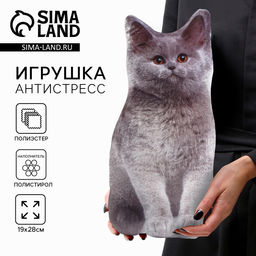 Игрушка-антистресс Серый кот, 19х28 см