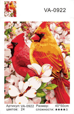 Картина по номерам на холсте и подрамнике 40х50 см