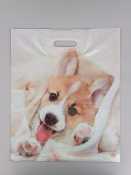 Цена за 50 шт. Пакет подарочный Малыш Веня  45 х 38 см 55 мкм