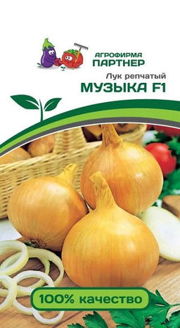 6146U Лук репчатый МУЗЫКА F1 0,5гр