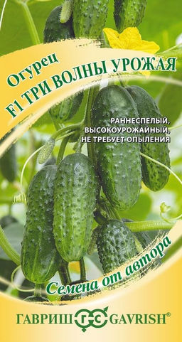 Огурец Три волны урожая F1 10 шт. автор. Н24