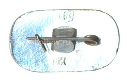 Значок Конькобежный спорт