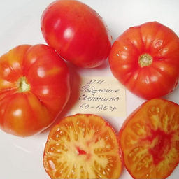 7132T Томат Радужное солнце 10шт