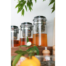 Заварочный чайник гунфу Magistro «Мантана», 500 мл, пластиковое сито, стекло