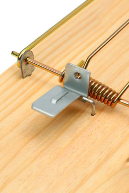 Цена за 2 шт. Крысоловка, 17 × 8 см, дерево, Greengo