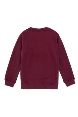 Erkek _ocuk Bordo Bisiklet Yaka Sweatshirt - U.s. polo assn фото 2