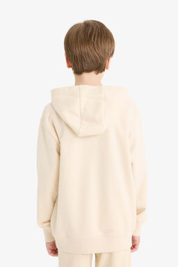 Basic D_z Kap__onlu Okul Sweatshirt Erkek _ocuk - Defacto фото 6