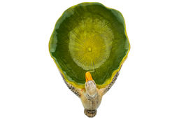 Блюдо сервировочное 200 мл 20,5*14*10 см "Уточка", керамика