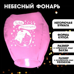 Фонарик желаний Ты всё, что мне нужно, котики, форма сердце, розовый