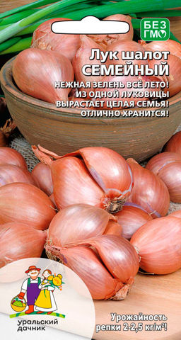 Лук шалот СЕМЕЙНЫЙ  Нежная зелень всё лето! Из одной луковицы вырастает целая семья, отлично хранится