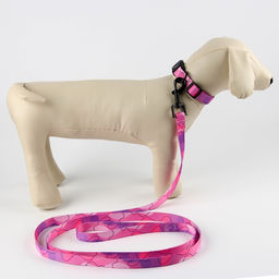 Набор Нежность, застёжка - фастекс, поводок 2 м и ошейник 28-46 см - Пушистое счастье фото 9