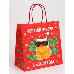 Набор пакетов новогодних крафтовых 5 штук «С Новым годом тебя!», 21 × 12 × 9 см