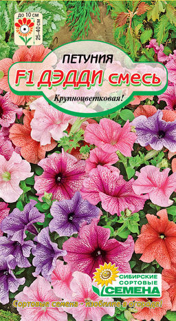 Дэдди F1, смесь петуния крупноцветковая 10шт (ссс)