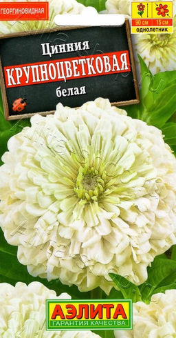 Цинния Крупноцветковая белая 0,3г (Аэлита)