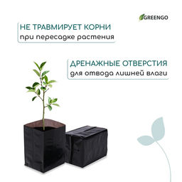 Цена за 100 шт. Пакет для рассады, 1 л, 9×18 см, полиэтилен, толщина 50 мкм, с перфорацией, чёрный, Greengo