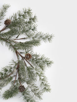 Венок декоративный, 16/48 см, пластик/шишки, Еловая ветка, Interior Conifer - Anna lafarg фото 3