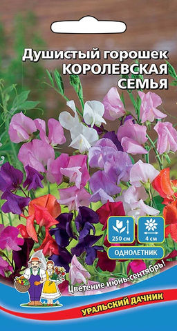 Горошек душистый КОРОЛЕВСКАЯ СЕМЬЯ
