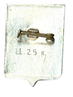 Значок Старая Русса