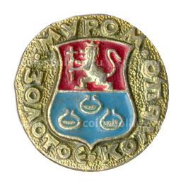 Значок Муром  Золотое кольцо