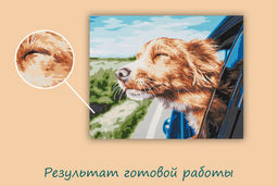 ФРЕЯ PNB/PL-361 Набор для раскрашивания по номерам 50 х 40 см Поездка на дачу