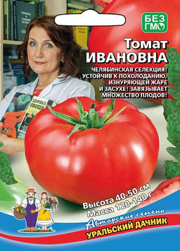 Томат ИВАНОВНА  Устойчив к похолоданию, изнуряющей жаре и засухе! Завязывает множество плодов!