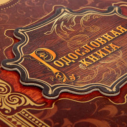 Родословная книга История семьи, 27 листов, 24.5 х 29.2 см - Семейные традиции фото 3