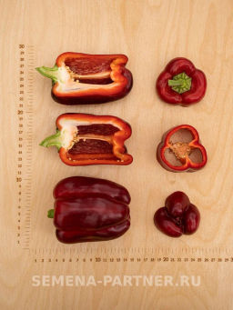 Перец сладкий Текила - Партнер фото 6