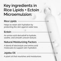 Ультралегкий увлажняющий крем с рисовыми липидами и эктоином Rice Lipids + Ectoin Microemulsion Ultra-Light Moisturiser 120ml