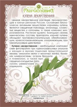 Купена (корень) - Мариславна фото 4