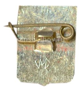 Значок Александров