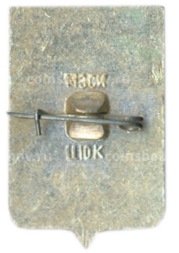 Значок Чебоксары