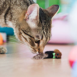 Цена за 5 шт. Мышь из натурального меха малая, корпус 5 см, микс цветов - Simaland фото 4