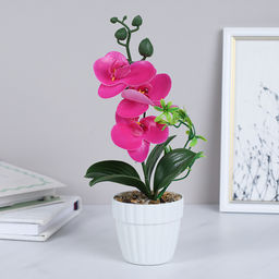 Цветочная композиция Орхидея 24 см / FH467A /уп 24/144/без индивидуальной упаковки - Галеонтрейд фото 25