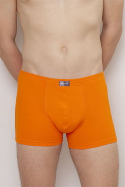 ТРУСЫ МУЖСКИЕ арт. 1911M-40010.1L-435