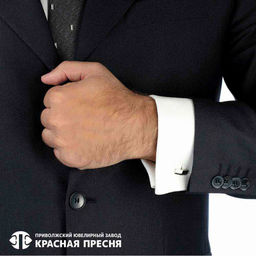 ЗАПОНКИ 93012914Д