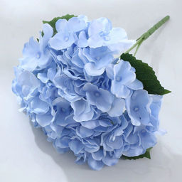 6c2a0f039b16f35c95f497ebe0d7984d3vujt31flmamgs4znq