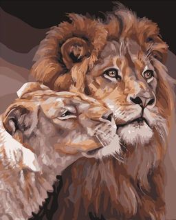 ФРЕЯ PNB/R1 №74 Набор для раскрашивания по номерам 50 х 40 см Ты лучший