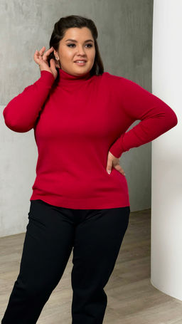 Водолазка-1165