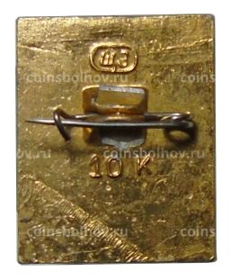 Значок Кострома