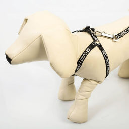 Комплект Security dog, шлейка 26-39 см, поводок 120х1 см - Пушистое счастье фото 4