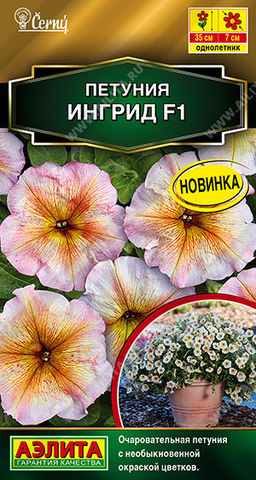 Петуния Ингрид F1 многоцветковая