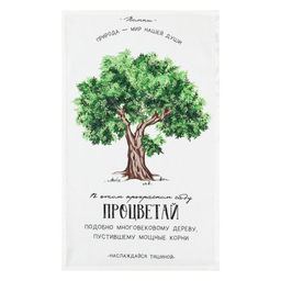 Набор кухонных полотенец Доляна Красота повсюду, 35х60см-4шт, 100% хлопок  фото 3