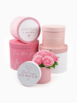 Набор подарочных коробок, упаковка, 5 в 1 Нежность, 14?13 ?22?19.5 см