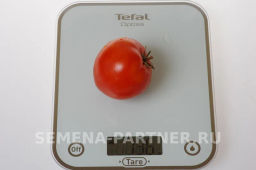 Томат Мадам Помпадур - Партнер фото 6